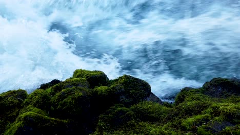 Green-moss-and-clear-water-of-the-upper-Rogue-River-in-Southern-Oregon