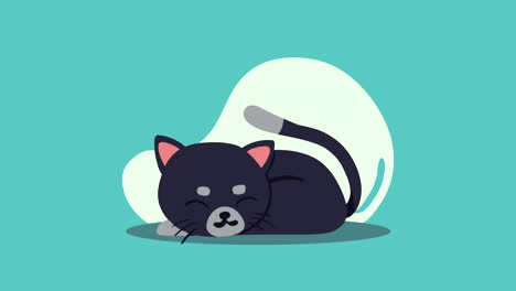 cute little black cat animation