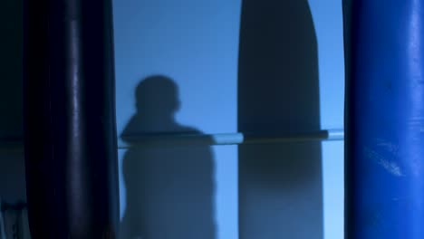 person shadowed by punching bags