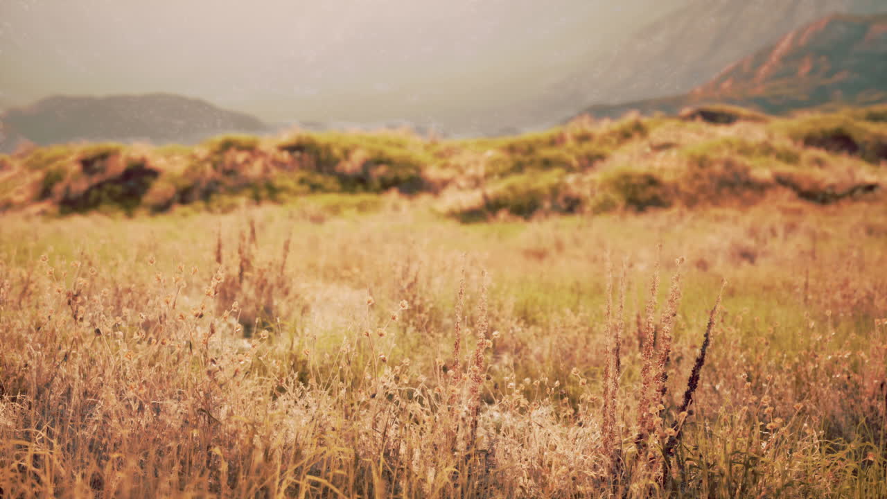 una hermosa vista de un campo de hierba con una cordillera en el fondo