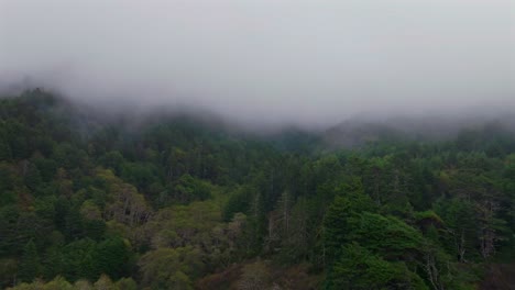 Lost Coast Trail PNW Redwood National and State Parks forest trees aerial drone California mist fog rain clouds mountainside Eureka Fort Bragg untouched rugged coastline nature landscape forward moti