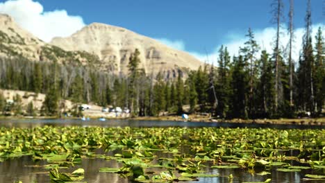 Rising-landscape-shot-of-the-tranquil-Butterfly-Lake-with-lily-pads-up-the-Uinta-National-Forest-in-Utah-with-large-Rocky-Mountains-and-pine-trees-surrounding-on-a-bright-sunny-summer-day