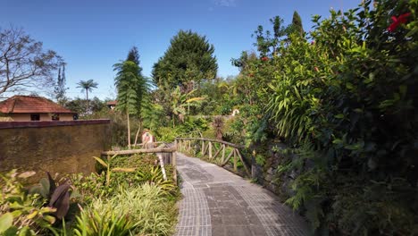 Walking-along-footpath-in-rural-Hotel-resort-in-Madeira-Island,-Slow-motion