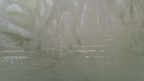 aerial view of shallow shoreline with algae and gentle waves