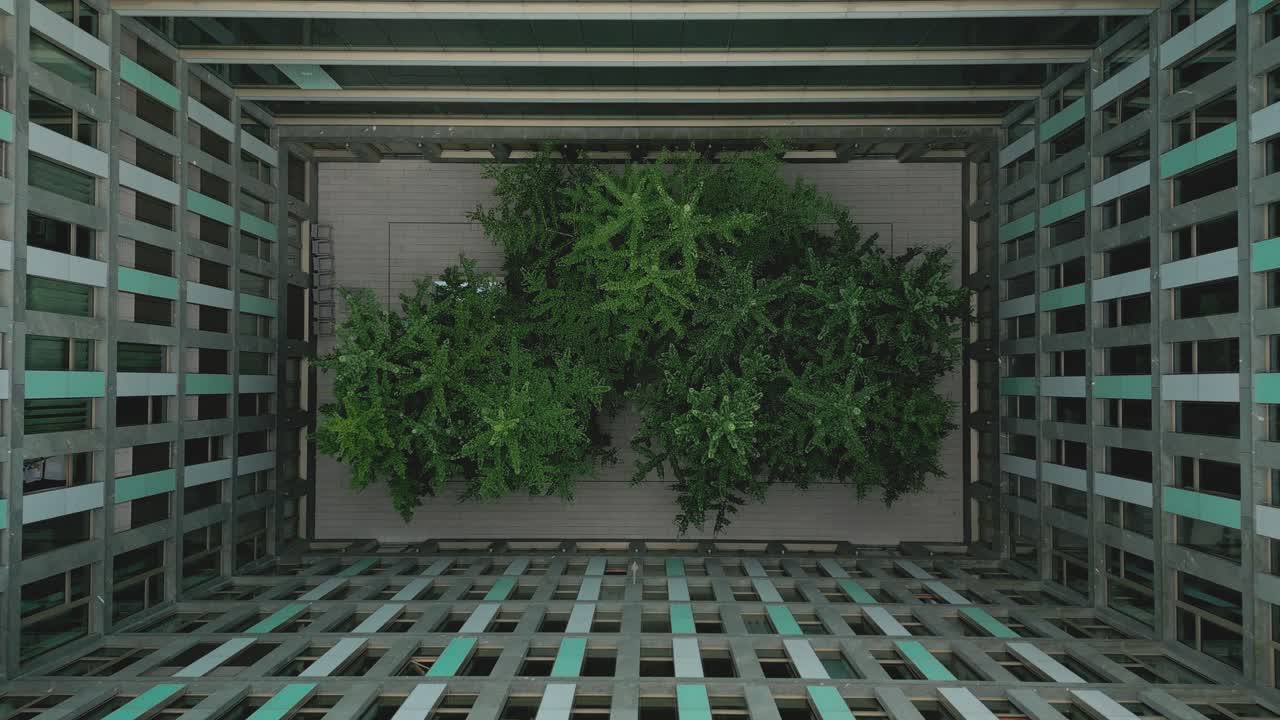 воздушный вид на природу, адаптированный к бетонным джунглям