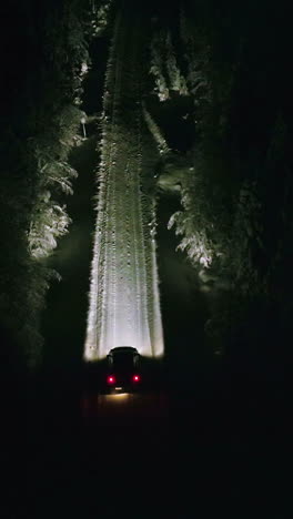 driving through a snowy forest at night