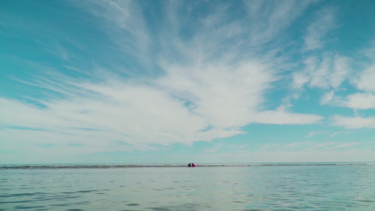 여름에 얕은 파도에서 노는 아이들 - 매우 넓음