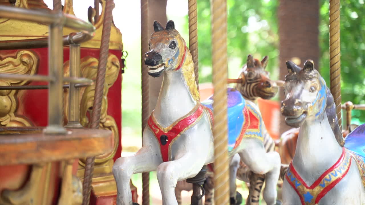 primer plano de caballos blancos de carrusel en un parque de atracciones