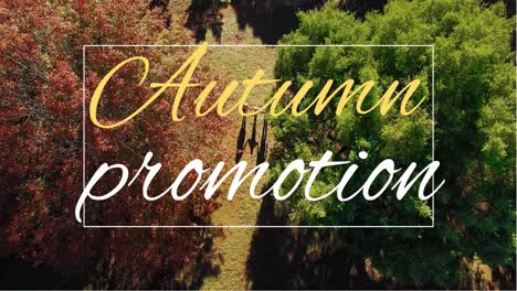 Digitally-generated-video-of-autumn-promotion-4k