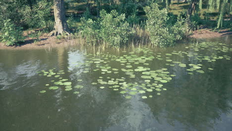escena tranquila del lago con pads de lirio y árboles verdes