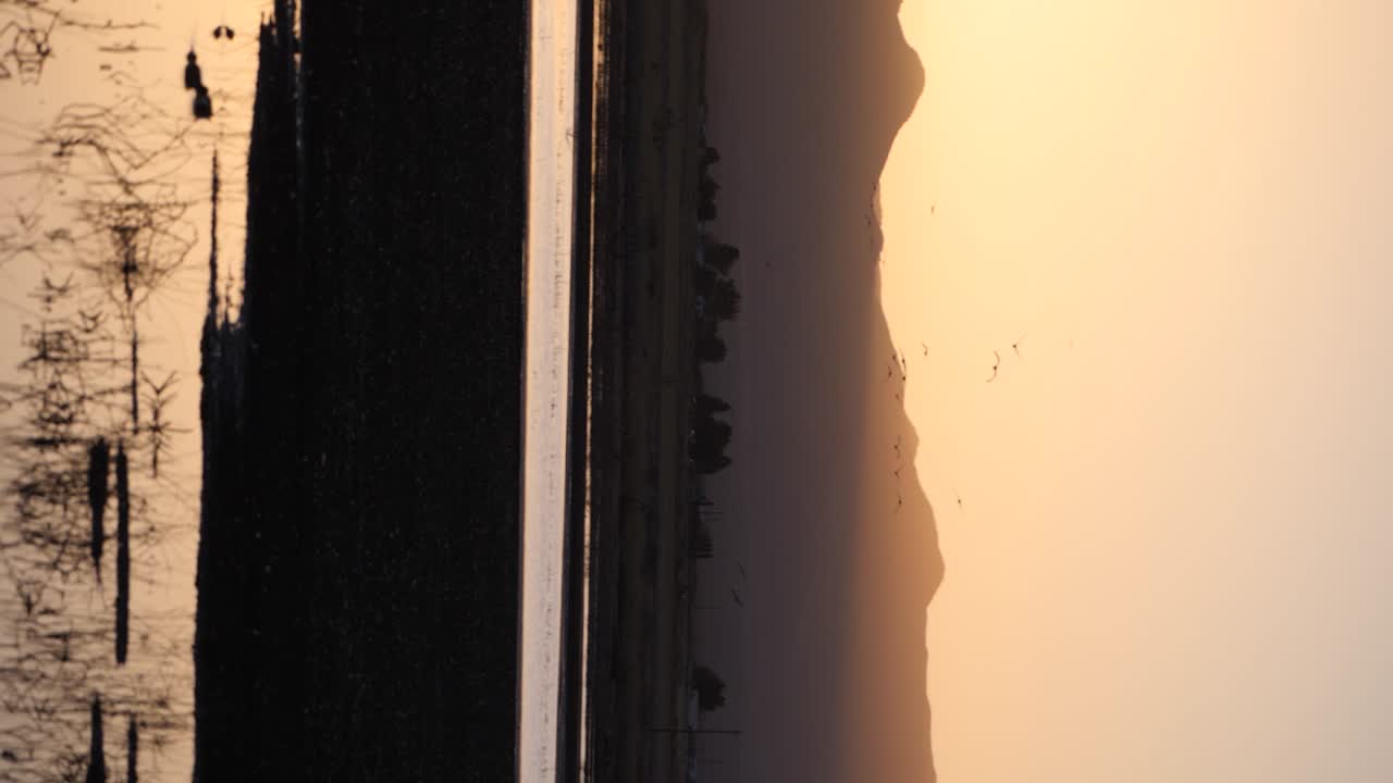 일몰 시간 동안 산을 배경으로 물 위를 나는 단독 새의 세로 샷