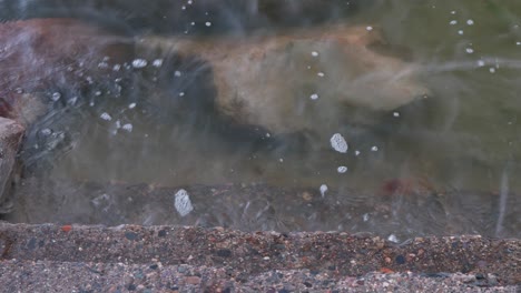 el agua clara del océano fluye suavemente contra los escalones de piedra en un ángulo estrecho