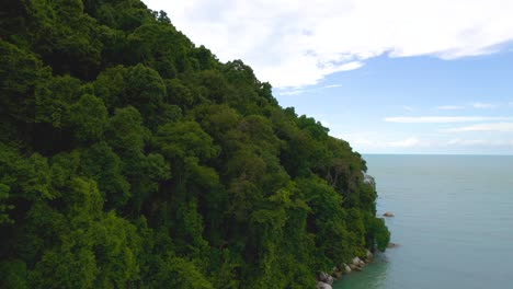 Un-Acercamiento-De-La-Playa-De-Los-Monos-En-El-Parque-Nacional-De-Penang,-Malasia-Durante-El-Día