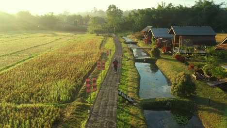 aerial view, woman is walking on wooden bridge in the village