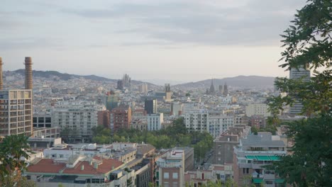 Vista-Cercana-De-Alta-Resolución-A-Través-De-árboles-Escénicos,-Horizonte-De-La-Ciudad-De-Barcelona-España-Con-Amanecer-Dorado-En-6k-Mientras-Los-Pájaros-Vuelan