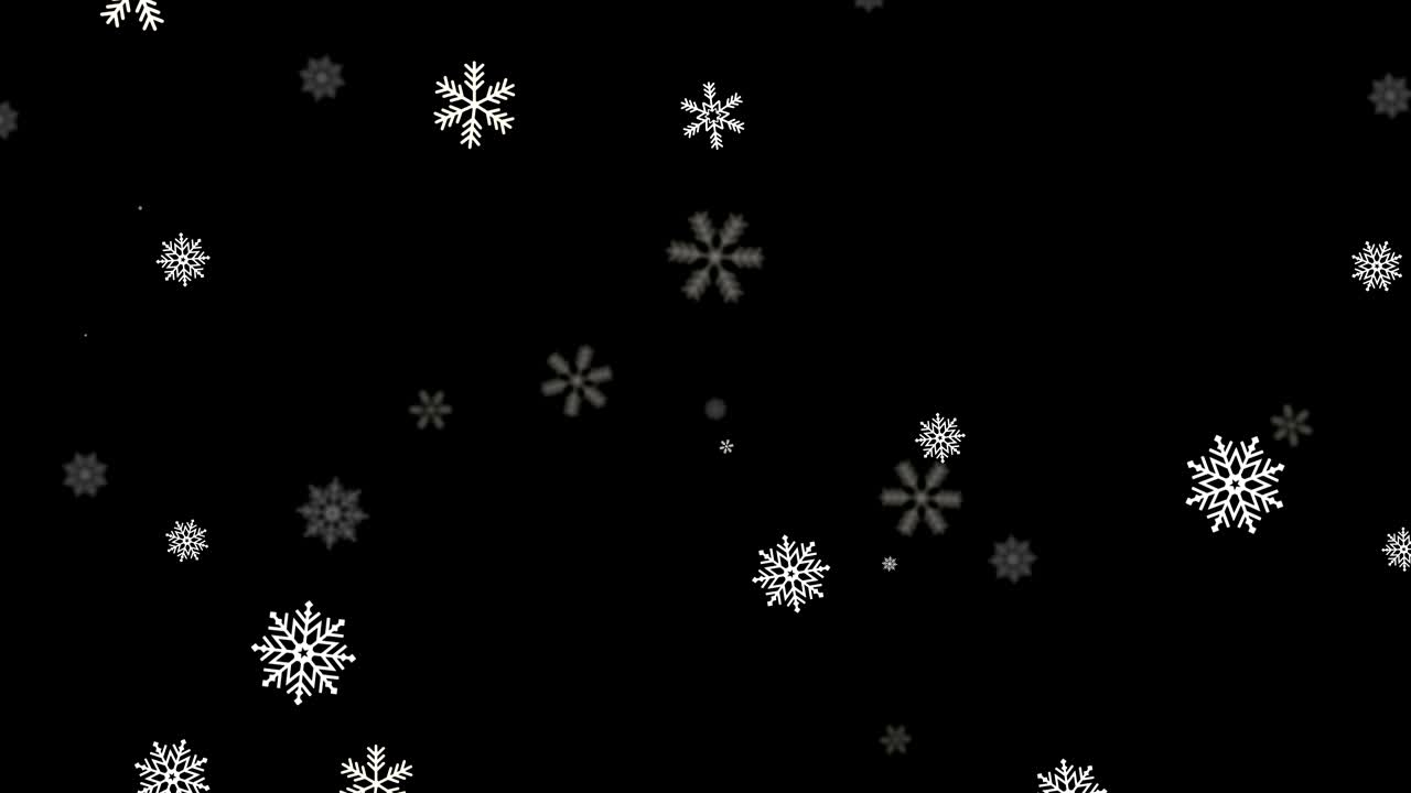 Fallende snø isolert på svart bakgrunn. Grønnskjerm løkkeanimasjon