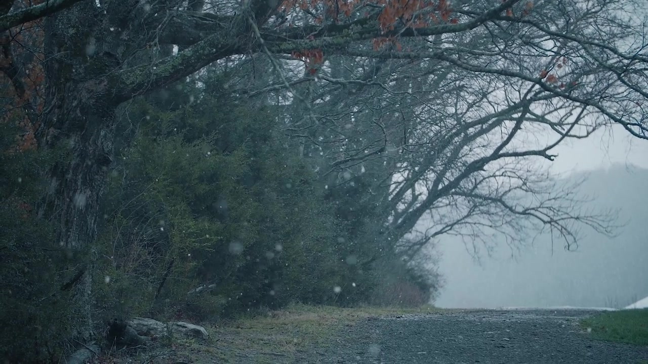 Sanfter Schneefall auf einer ruhigen Waldstraße im Winter