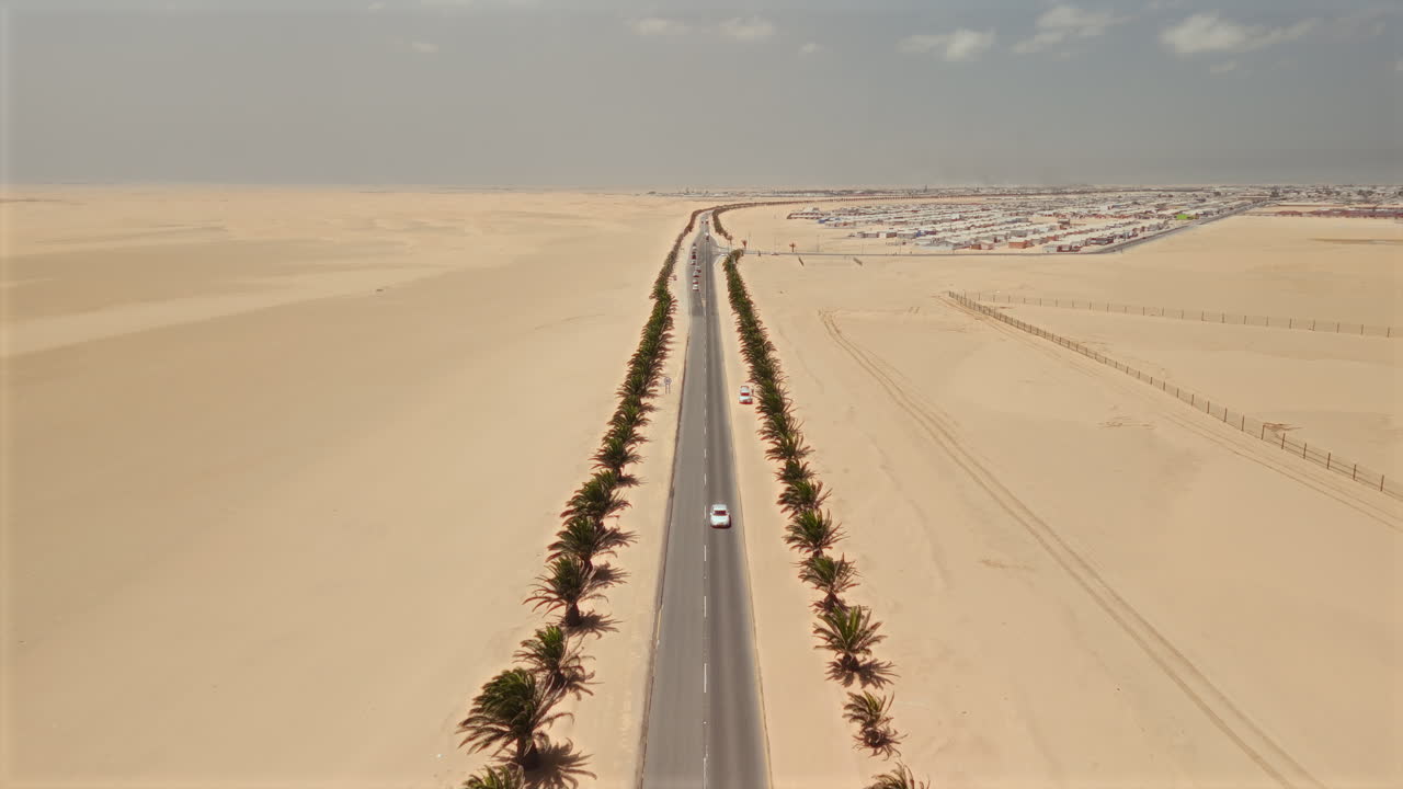 Desert Highway with Palm Trees and Cityscape
