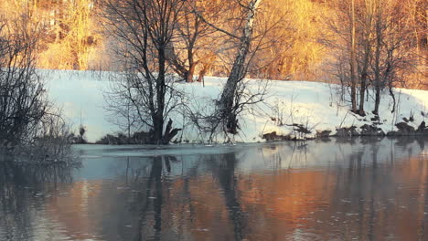 Río-De-Invierno.-Orilla-Del-Río-En-El-Bosque-De-Invierno.-Luz-Del-Sol-En-El-Bosque-De-Invierno