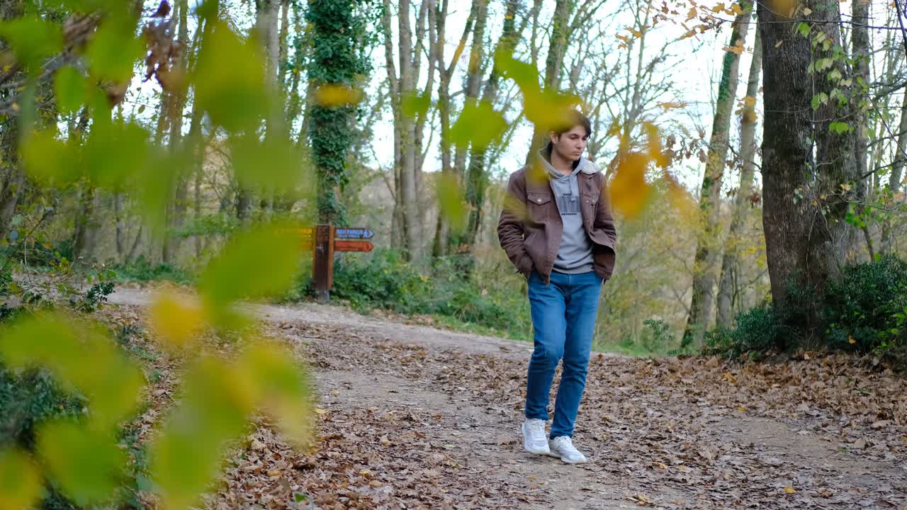 el bosque del hombre de otoño