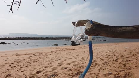 배경에 섬이 있는 황량한 모래 해변 앞 나뭇가지에 스노클링 장비가 매달려 있습니다.