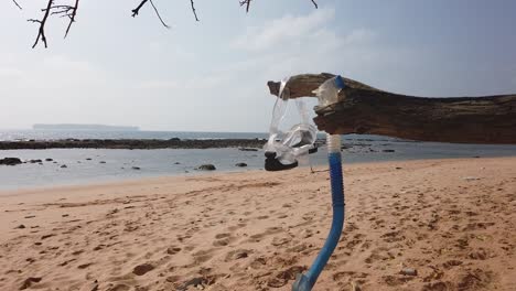 snorkel gear hanging on a branch in front of a deserted sandy beach with an island in the background