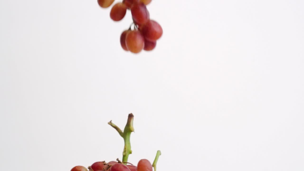 racimos de uvas rojas regordetas en la vid lloviendo sobre fondo blanco en cámara lenta