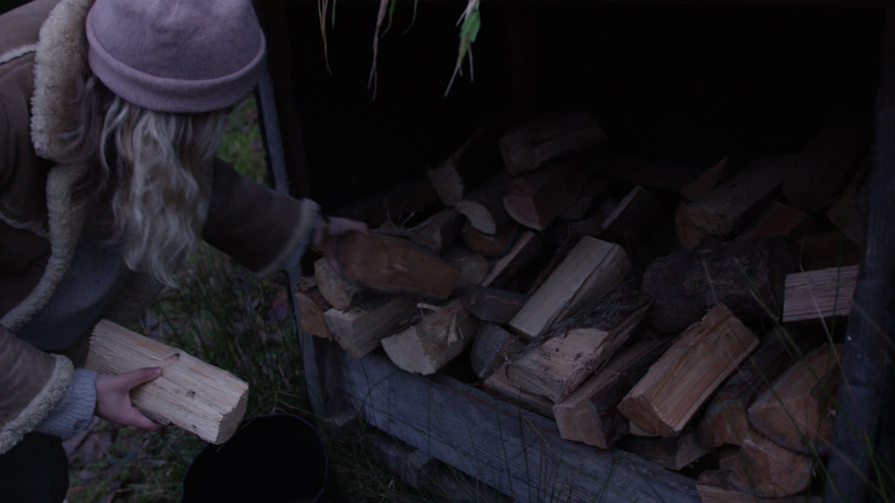 하루 중 황혼 시간에 장작 수집