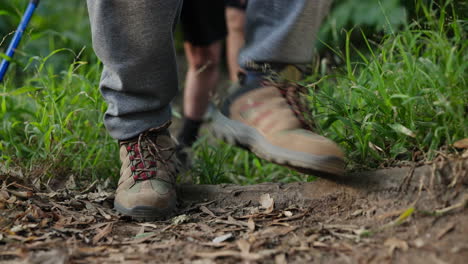 hiking on a trail