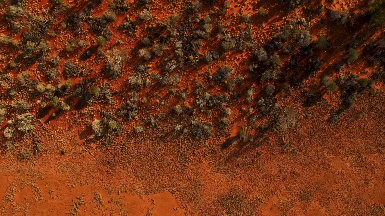 붉은 흙에서 아름다운 호주 아웃백 풍경의 패턴 트리라인까지 천천히 움직이는 공중, 조감도