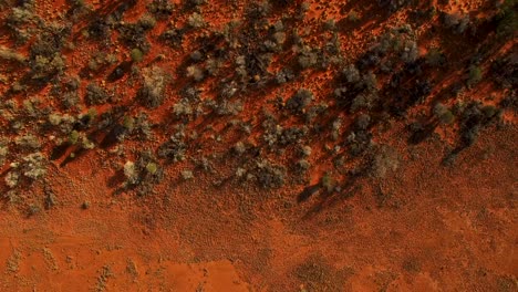 Slow-moving-aerial-from-red-dirt-to-the-patterned-treeline-of-a-beautiful-Australian-outback-landscape,-birds-eye-view