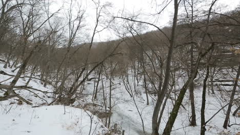 Outdoor winter forest nature. Winter panorama of snow covered forest