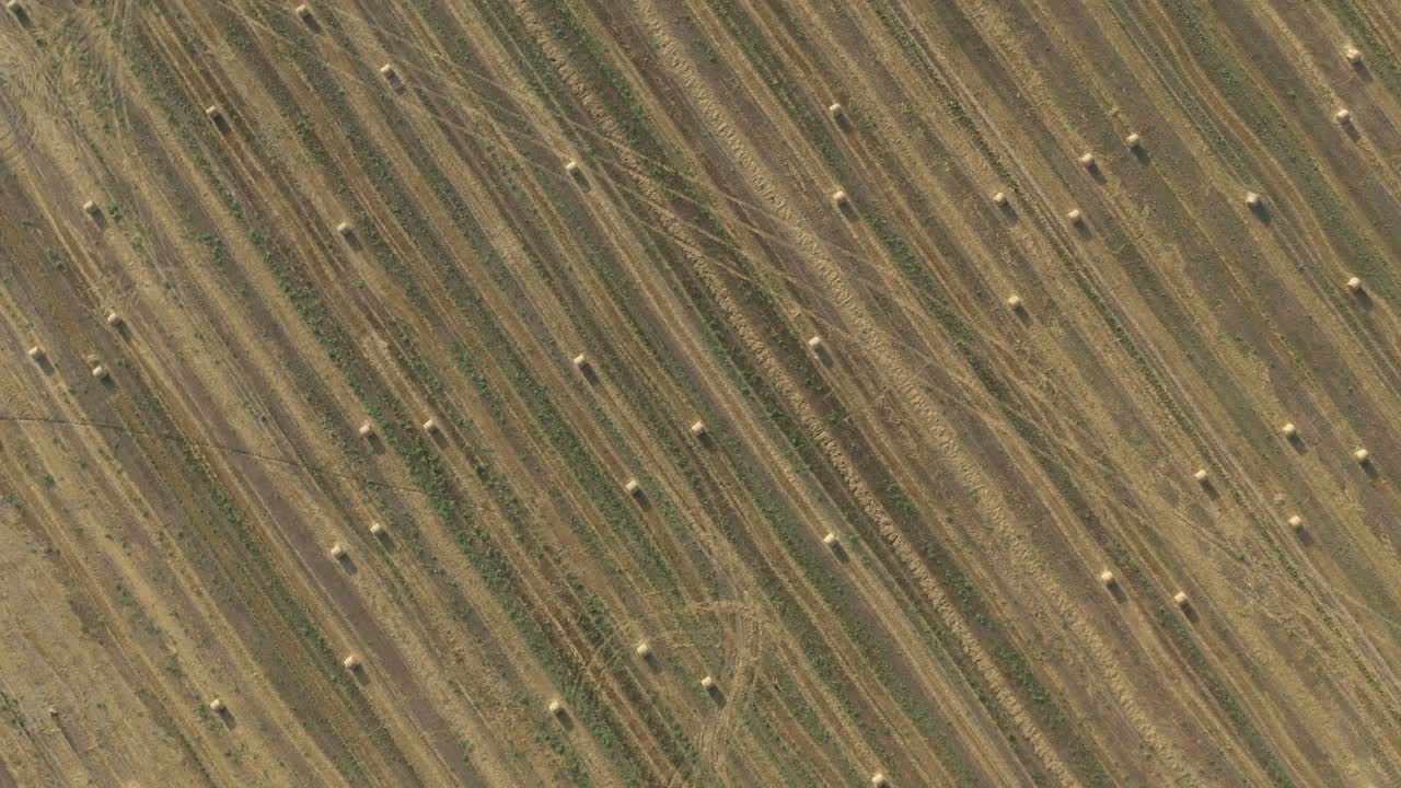 balas redondas de heno vista superior imágenes de drones en 4k