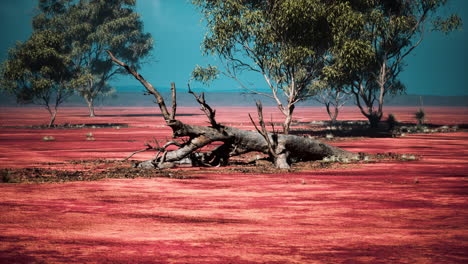 paisaje desértico rojo alienígena con árbol muerto