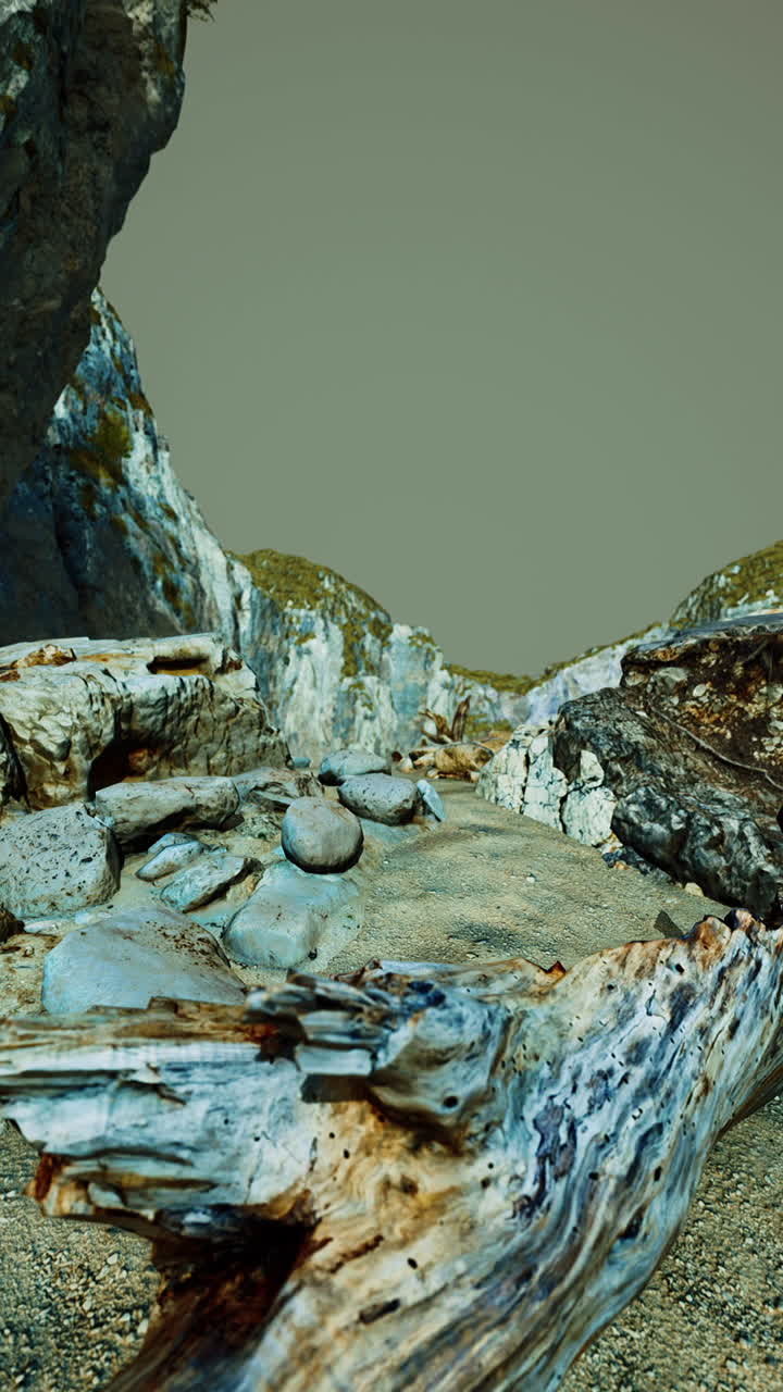 paisaje desértico con rocas y madera a la deriva