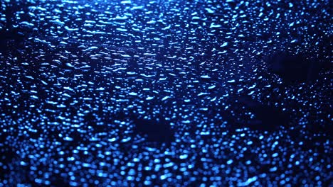 video de gotas de lluvia sobre un fondo azul oscuro