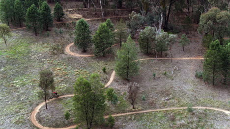 Drone-Siguiendo-A-Una-Ciclista-De-Montaña-A-Través-De-Sinuosos-Senderos-De-Tierra,-Australia