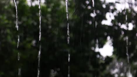 pouring rainfall from rooftop with beautiful nature background, close up view