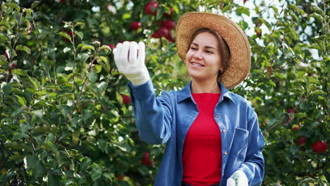 beautiful young lady in straw hat collecting apples. woman picks apples into the basket from a tree standing near it.
