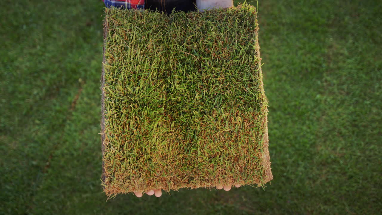 Top view: The farmer's hands are holding a piece of land with green grass.