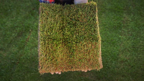 top view: the farmer's hands are holding a piece of land with green grass.