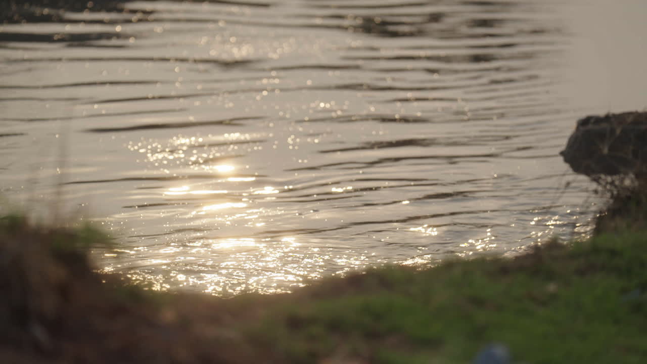 Golden Sunlight on Water