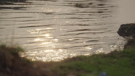 golden sunlight on water