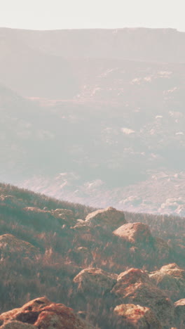 misty mountain landscape