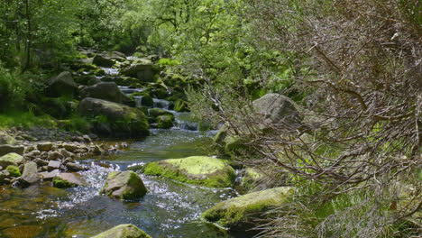 wonderful wyming brook nature reserve, near sheffield yorkshire, uk