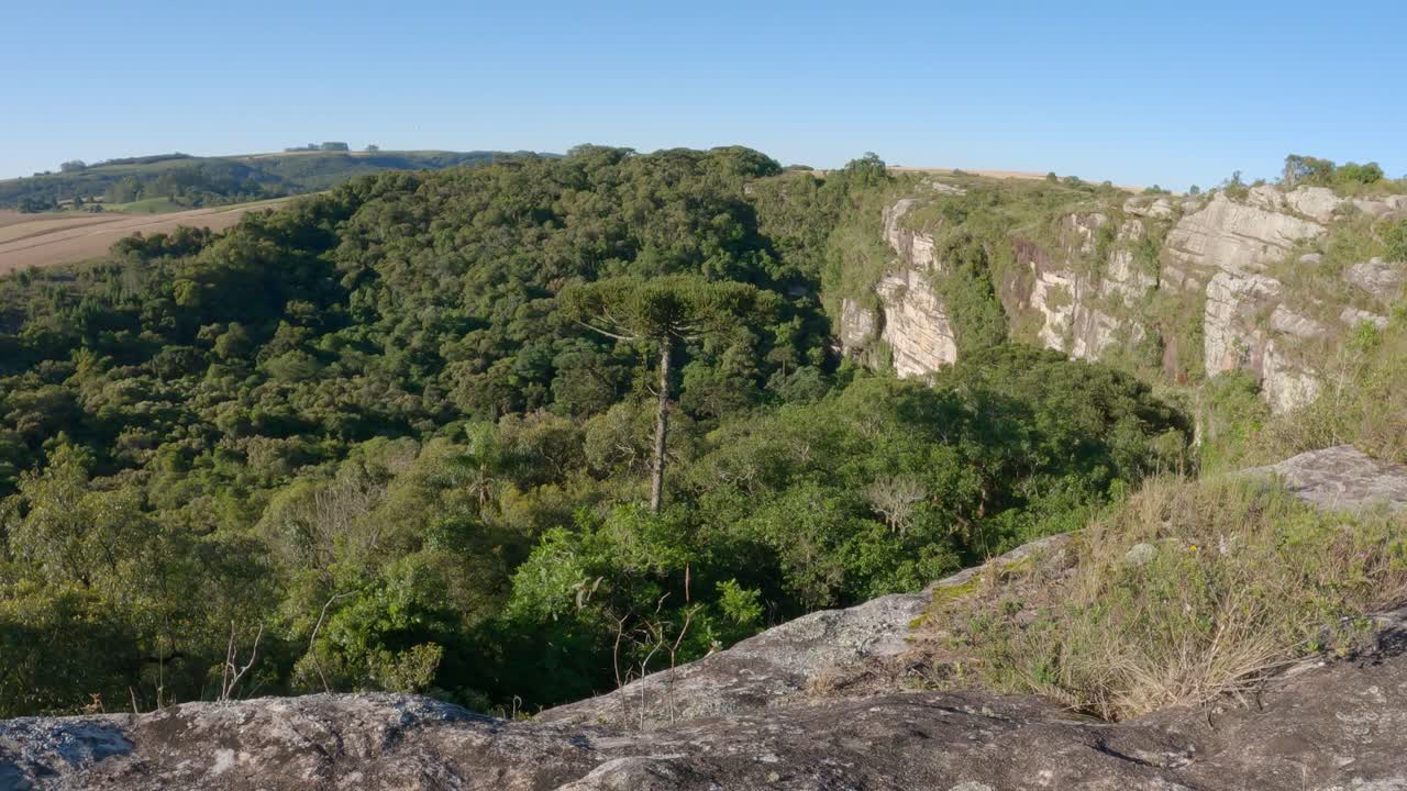 Sinkhole of the &amp;quot;Dolina Grande&amp;quot;, Campos Gerais National Park, Ponta Grossa, Brazil