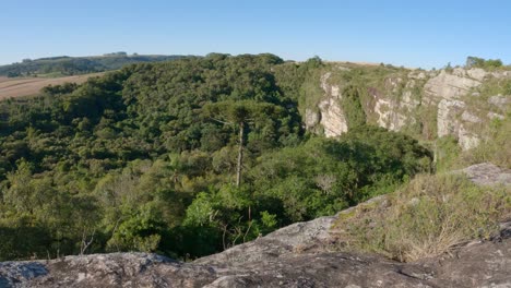 sinkhole of the "dolina grande", campos gerais national park, ponta grossa, brazil