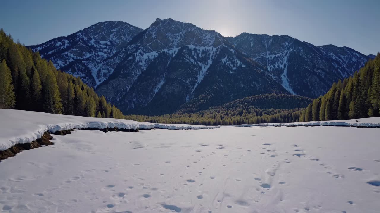 Aerial video view of a snow-covered valley flanked by pine forests, with majestic mountains