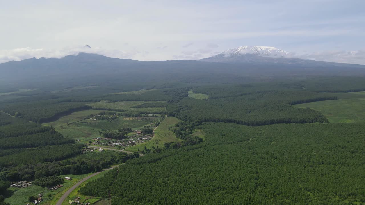 paisaje rural perenne en primer plano del monte kilimanjaro nevado en el parque nacional amboseli, kenia, áfrica