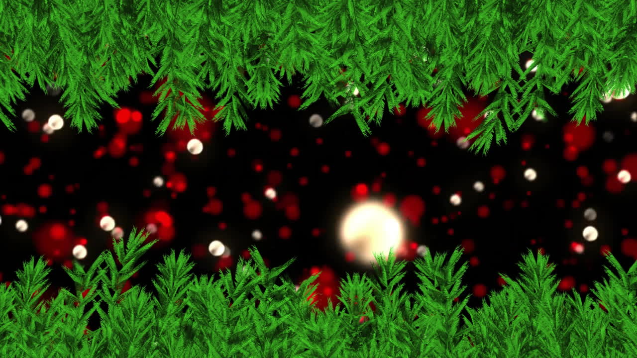 Animating Christmas lights and ornaments over pine branches background